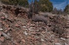 Grasshopper Ruin