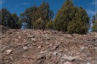Grasshopper Ruin