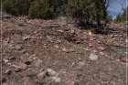 Grasshopper Ruin