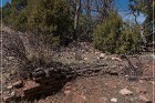 Grasshopper Ruin
