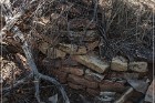 Grasshopper Ruin