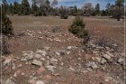 Grasshopper Ruin