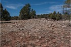 Grasshopper Ruin