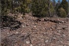 Grasshopper Ruin
