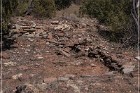 Grasshopper Ruin