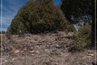 Grasshopper Ruin
