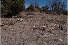 Grasshopper Ruin