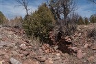 Grasshopper Ruin