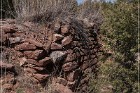 Grasshopper Ruin