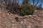 Grasshopper Ruin