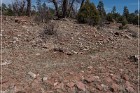 Grasshopper Ruin