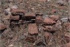 Grasshopper Ruin
