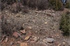 Grasshopper Ruin