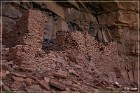 Honanki Ruins