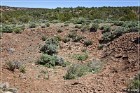 Kinlichee Navajo Tribal Park