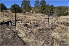 Little Bear Arch Site