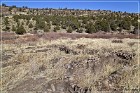 Little Bear Arch Site