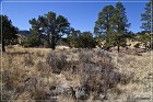 Little Bear Arch Site