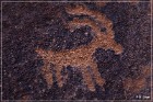 Little Black Mountain Petroglyphs