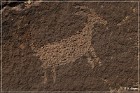 Little Black Mountain Petroglyphs