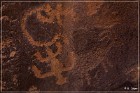 Little Black Mountain Petroglyphs