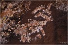 Little Black Mountain Petroglyphs