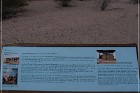 Mesa Grande Ruins