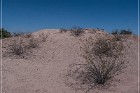 Mesa Grande Ruins