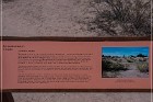 Mesa Grande Ruins
