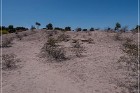 Mesa Grande Ruins