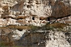 Montezuma Caste NM
