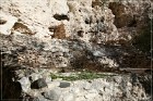 Montezuma Caste NM