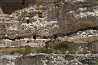 Montezuma Caste NM