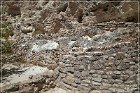 Montezuma Caste NM