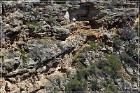 Montezuma Well NM