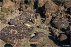 Painted Rock Petroglyph Site