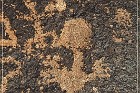 Painted Rock Petroglyph Site