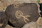 Painted Rock Petroglyph Site