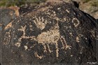Painted Rock Petroglyph Site
