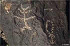 Painted Rock Petroglyph Site