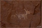 Palatki Pictographs