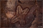 Palatki Pictographs