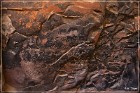 Palatki Pictographs