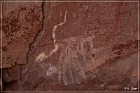 Palatki Pictographs