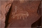 Palatki Pictographs