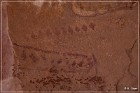 Palatki Pictographs