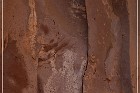 Palatki Pictographs