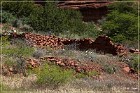 Palatki Ruins