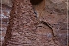 Palatki Ruins