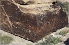 Petrified Forest Newspaper Rock